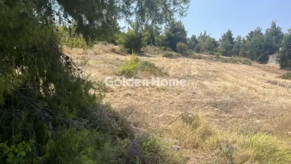 Οικιστικό 2700τ.μ. προς πώληση φωτογραφία 5602693
