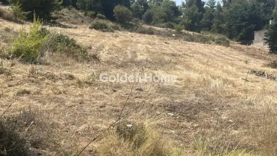 Οικιστικό 2700τ.μ. προς πώληση φωτογραφία 5602694