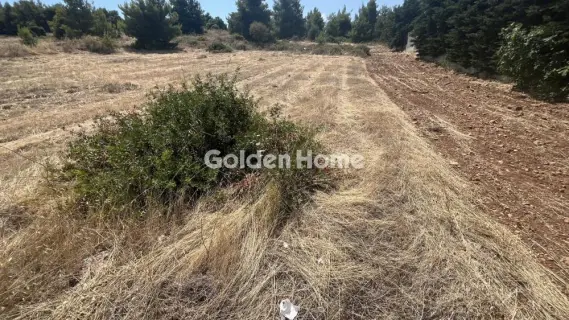 Οικιστικό 2700τ.μ. προς πώληση φωτογραφία 5602695