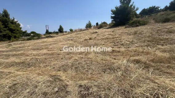 Οικιστικό 2700τ.μ. προς πώληση φωτογραφία 5602696