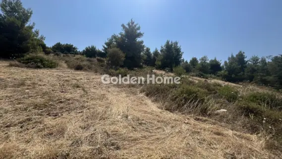 Οικιστικό 2700τ.μ. προς πώληση φωτογραφία 5602697