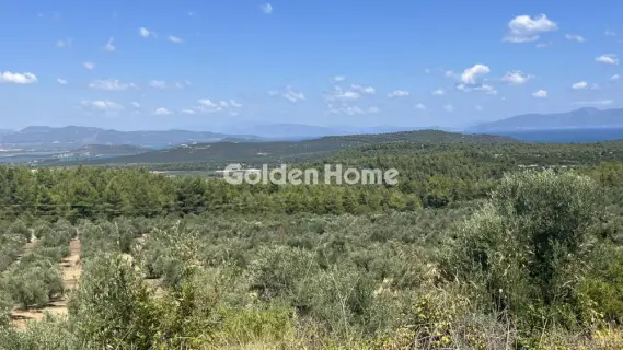 Residential 9000m<sup>2</sup> for sale photo 5602810