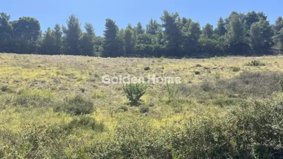 Residential 9000m<sup>2</sup> for sale photo 5602814