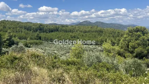 Residential 9000m<sup>2</sup> for sale photo 5602823