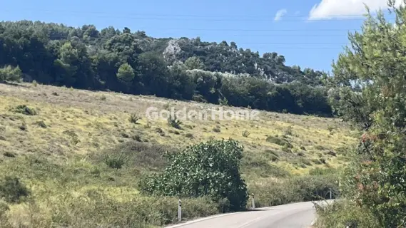 Residential 9000m<sup>2</sup> for sale photo 5602826