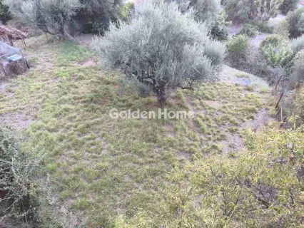 Οικιστικό 386τ.μ. προς πώληση φωτογραφία 5603074