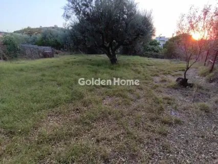 Οικιστικό 386τ.μ. προς πώληση φωτογραφία 5603074