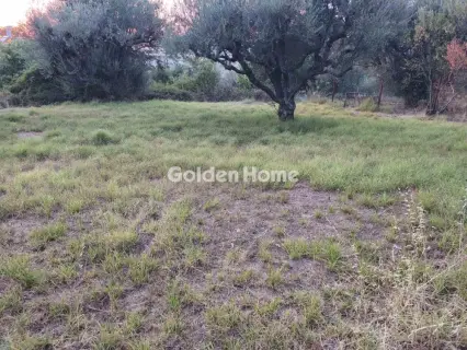Οικιστικό 386τ.μ. προς πώληση φωτογραφία 5603074