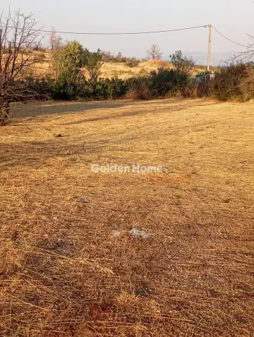 Αγροτεμάχιο 3393τ.μ. προς πώληση φωτογραφία 5603575