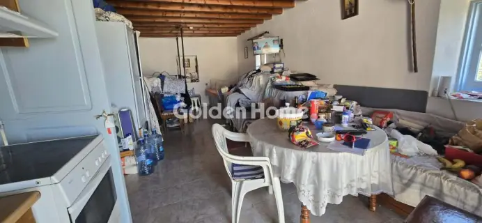 Μονοκατοικία 48τ.μ. προς πώληση φωτογραφία 5603746