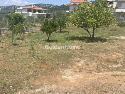 Apartment 74m<sup>2</sup> for rent photo 5603971