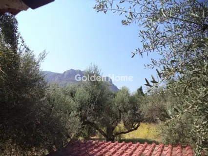 Μονοκατοικία 120τ.μ. προς πώληση φωτογραφία 13