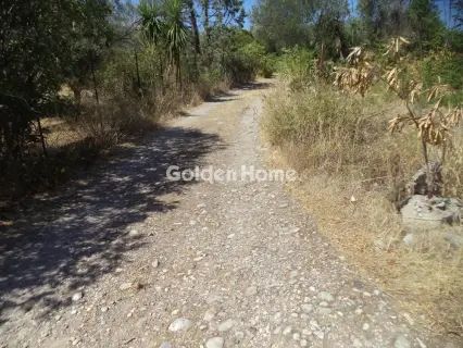 Οικιστικό 939τ.μ. προς πώληση φωτογραφία 5605401