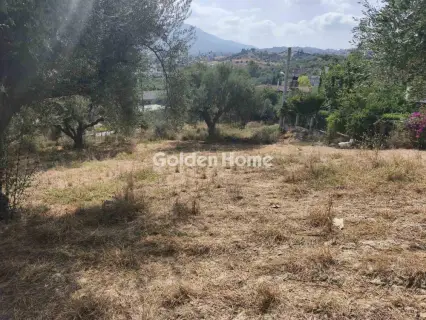 Οικιστικό 2000τ.μ. προς πώληση φωτογραφία 5605403