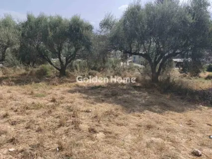 Οικιστικό 2000τ.μ. προς πώληση φωτογραφία 5605403