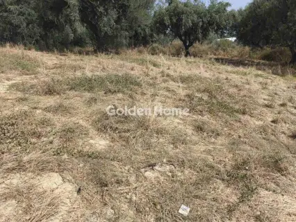 Οικιστικό 2000τ.μ. προς πώληση φωτογραφία 5605403