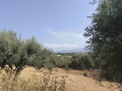 Οικιστικό 2000τ.μ. προς πώληση φωτογραφία 5605403