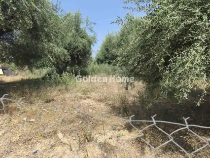 Οικιστικό 2000τ.μ. προς πώληση φωτογραφία 5605403