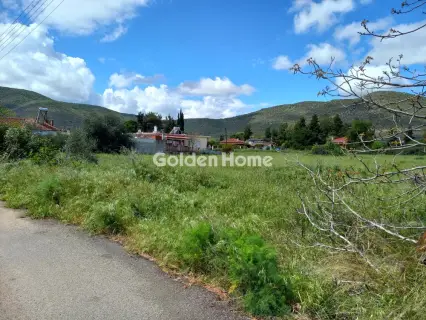 Residential 3744m<sup>2</sup> for sale photo 2