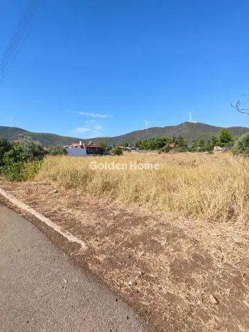 Residential 3744m<sup>2</sup> for sale photo 6