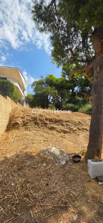 Οικιστικό 550τ.μ. προς πώληση φωτογραφία 5605972