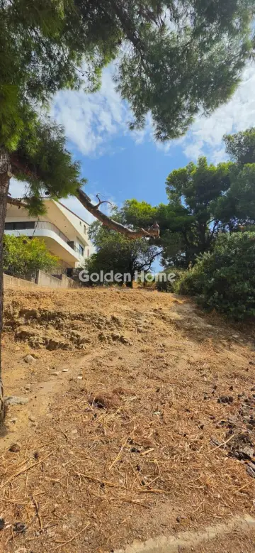 Οικιστικό 550τ.μ. προς πώληση φωτογραφία 5605971