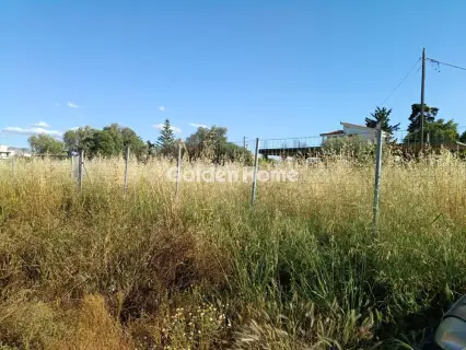 Αγροτεμάχιο 300τ.μ. προς πώληση φωτογραφία 5609671