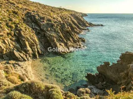 Επαγγελ. Οικόπεδο 30000τ.μ. προς πώληση φωτογραφία 3