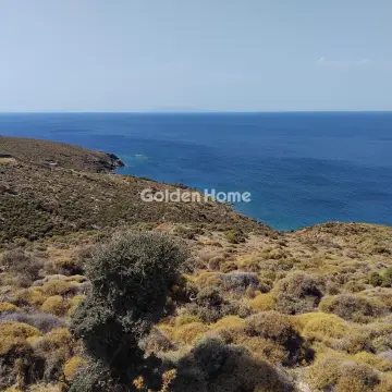 Επαγγελ. Οικόπεδο 30000τ.μ. προς πώληση φωτογραφία 5606795