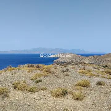 Επαγγελ. Οικόπεδο 30000τ.μ. προς πώληση φωτογραφία 5
