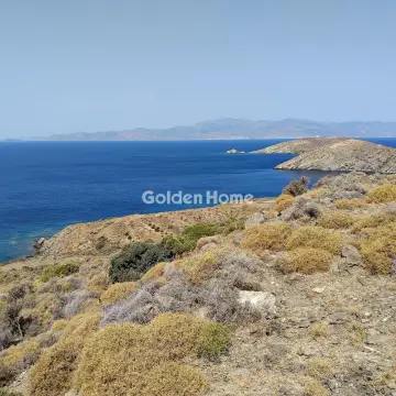 Επαγγελ. Οικόπεδο 30000τ.μ. προς πώληση φωτογραφία 4