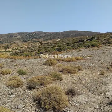 Επαγγελ. Οικόπεδο 30000τ.μ. προς πώληση φωτογραφία 5606799