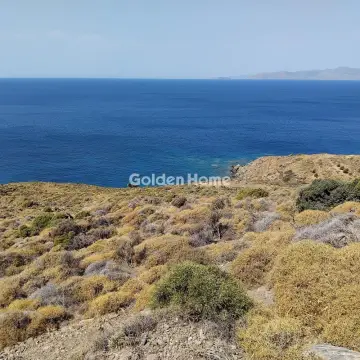 Επαγγελ. Οικόπεδο 30000τ.μ. προς πώληση φωτογραφία 6
