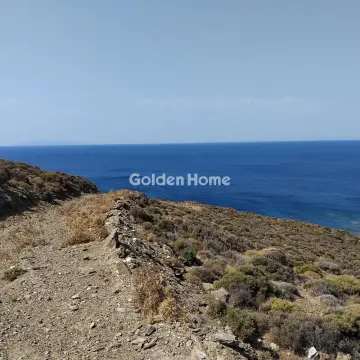 Επαγγελ. Οικόπεδο 30000τ.μ. προς πώληση φωτογραφία 5606794