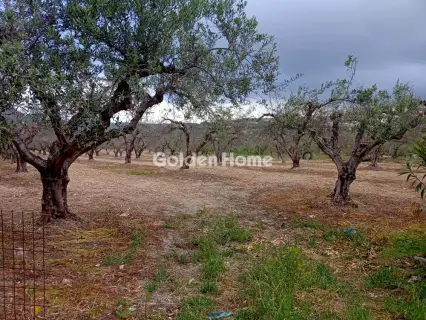 住宅 684m<sup>2</sup> for sale photo 2