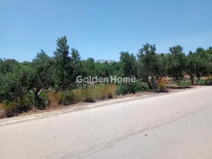 Αγροτεμάχιο 1122τ.μ. προς πώληση φωτογραφία 2