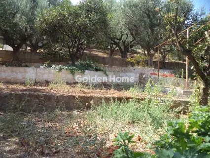 Μονοκατοικία 124τ.μ. προς πώληση φωτογραφία 14