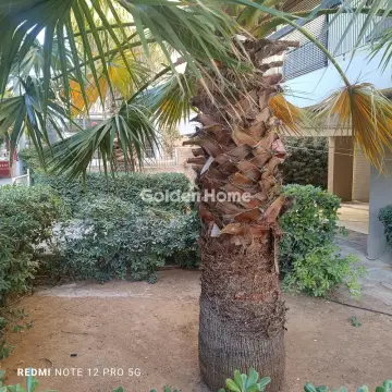 Διαμέρισμα 53τ.μ. προς πώληση φωτογραφία 27
