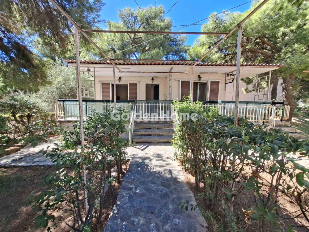 house στην Αρτέμιδα (Λούτσα) — Φωτογραφία 2 από 21