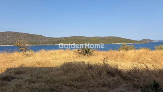 Κατάστημα 4000τ.μ. προς πώληση φωτογραφία 5617334