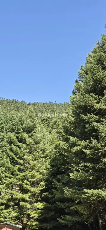 独立复式小屋 238m<sup>2</sup> for sale photo 1