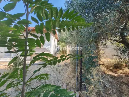 Residential 388m<sup>2</sup> for sale photo 5619650