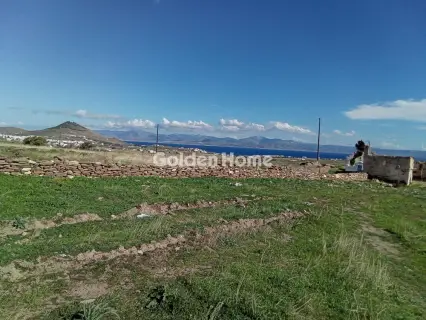Αγροτεμάχιο 12000τ.μ. προς πώληση φωτογραφία 5630458
