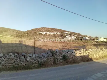 Αγροτεμάχιο 12000τ.μ. προς πώληση φωτογραφία 5630459