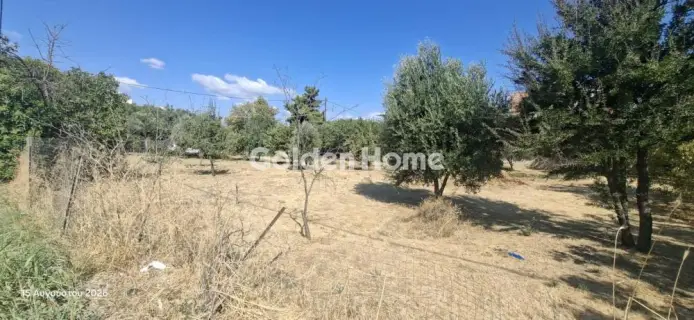 Οικιστικό 1209τ.μ. προς πώληση φωτογραφία 5627711
