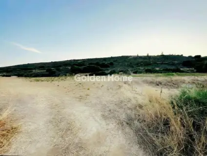 Οικιστικό 7965τ.μ. προς πώληση φωτογραφία 3