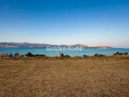 Επαγγελ. Οικόπεδο 7965τ.μ. προς πώληση φωτογραφία 1