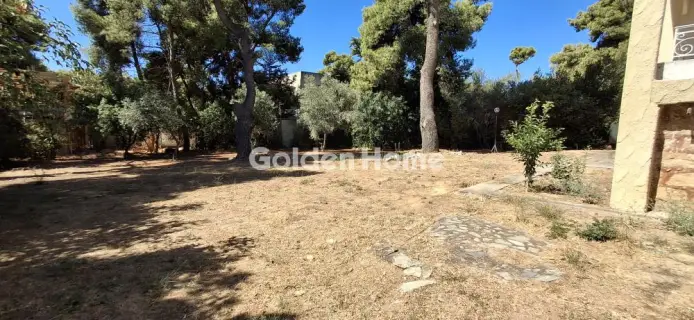 Μονοκατοικία 330τ.μ. προς πώληση φωτογραφία 10