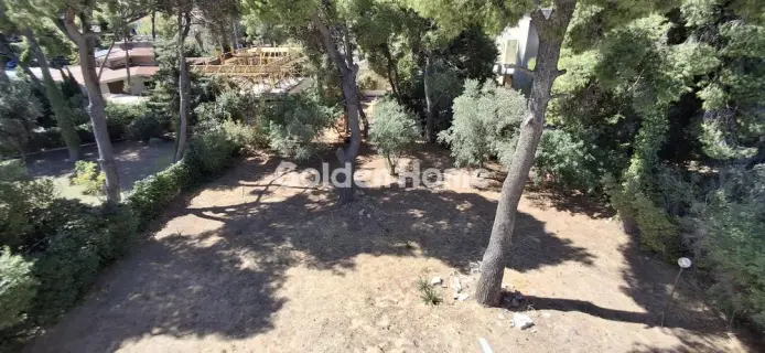 Μονοκατοικία 330τ.μ. προς πώληση φωτογραφία 5629170
