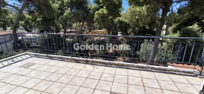 Μονοκατοικία 330τ.μ. προς πώληση φωτογραφία 5629169